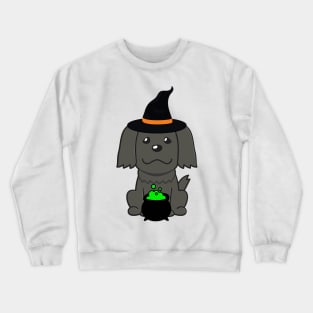 Cute black dog is a witch Crewneck Sweatshirt